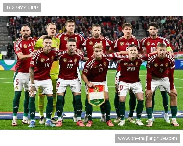 奥地利VS波黑:主场龙迎战客场虫,波黑防守漏洞成隐患